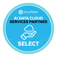 Snowflake partner