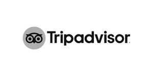Trip Advisor Reviews